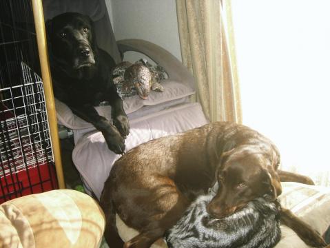 ジャック＆マイケル＆ジュリア