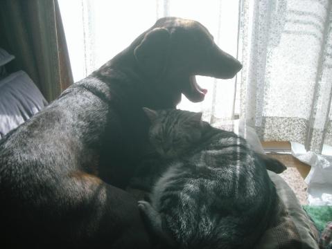 マイケル＆ジュリア2