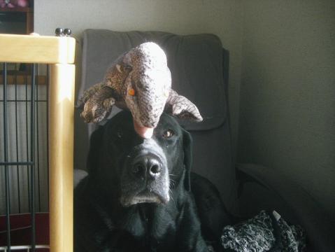 ジャック＆ケメオ