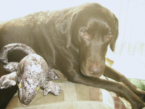 ジュリア＆ケメオ