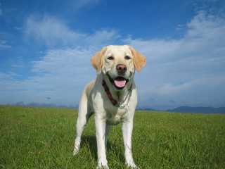 まいちゃん 鬼岳