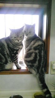 アンジェラ＆マイケル　見張り２