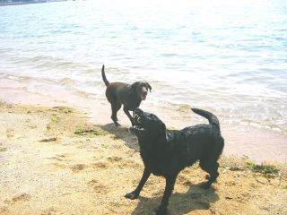 ジャック＆ジュリア　海1