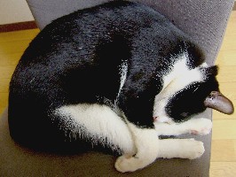 ちょっぴり狭そう？