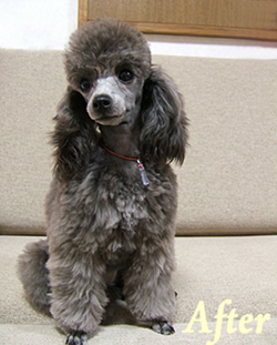 2006_010918.jpg