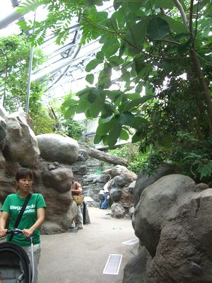 CIMG5728.JPG