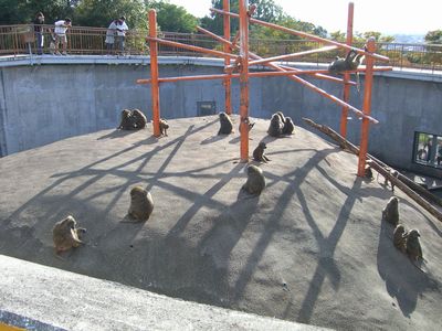 CIMG6410.JPG