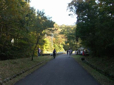 CIMG6454.JPG