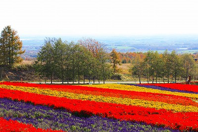 お花も終わり・・