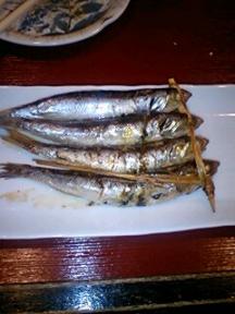 070511_2306さんびき：焼めざし.jpg