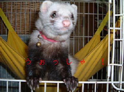 おぅっしゃ～！