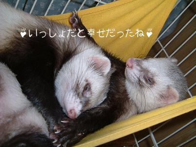 いつでも仲良し♪