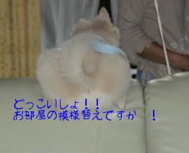 どっこいしょ！