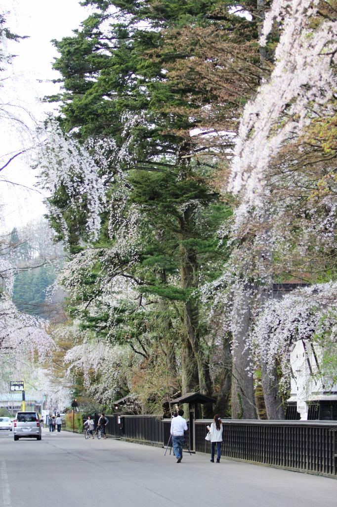 寂しさ漂う武家屋敷通り