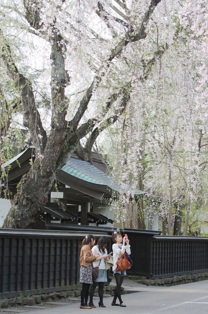 伝承館前の三人娘