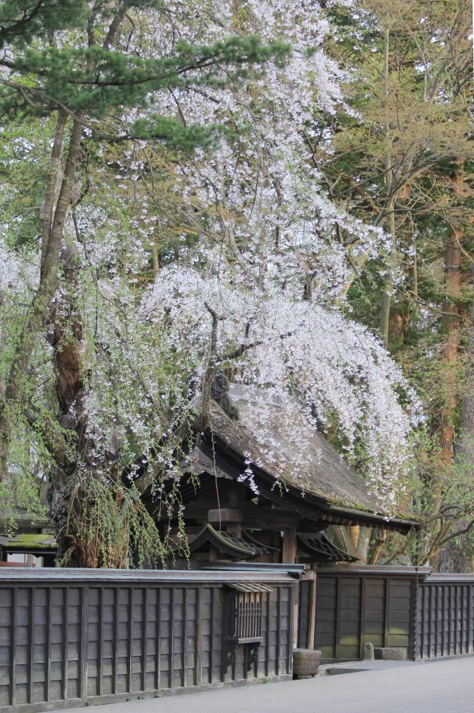 定番スポット独り占め出来たのはラッキーなのか?