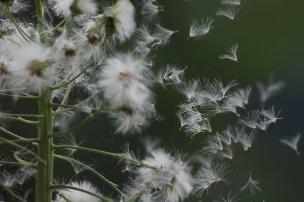 みんな揃ってバイバイ～～