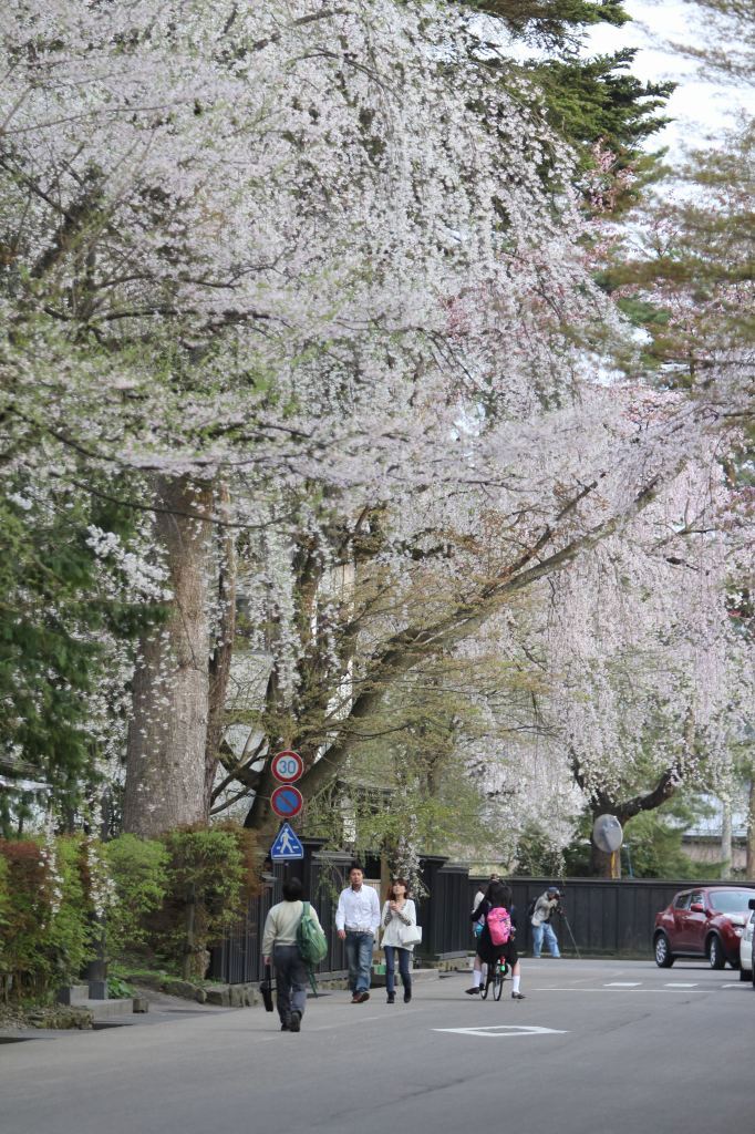 人気スポットも人影まばら