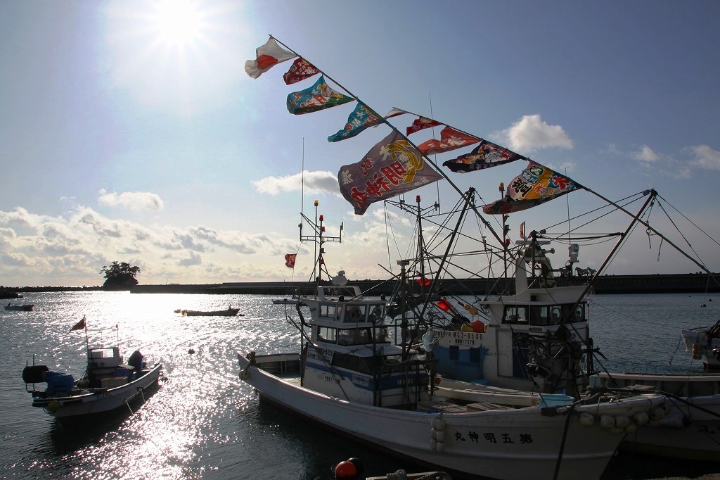 漁港のお正月
