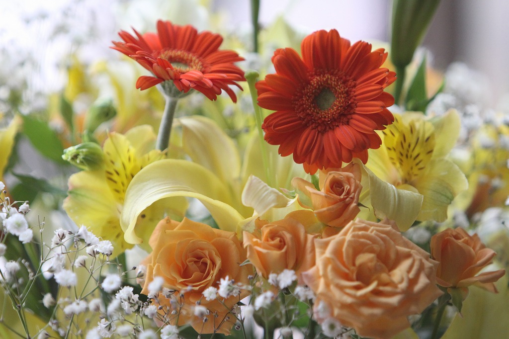 お祝いの日から10日も経つけれどまだ元気