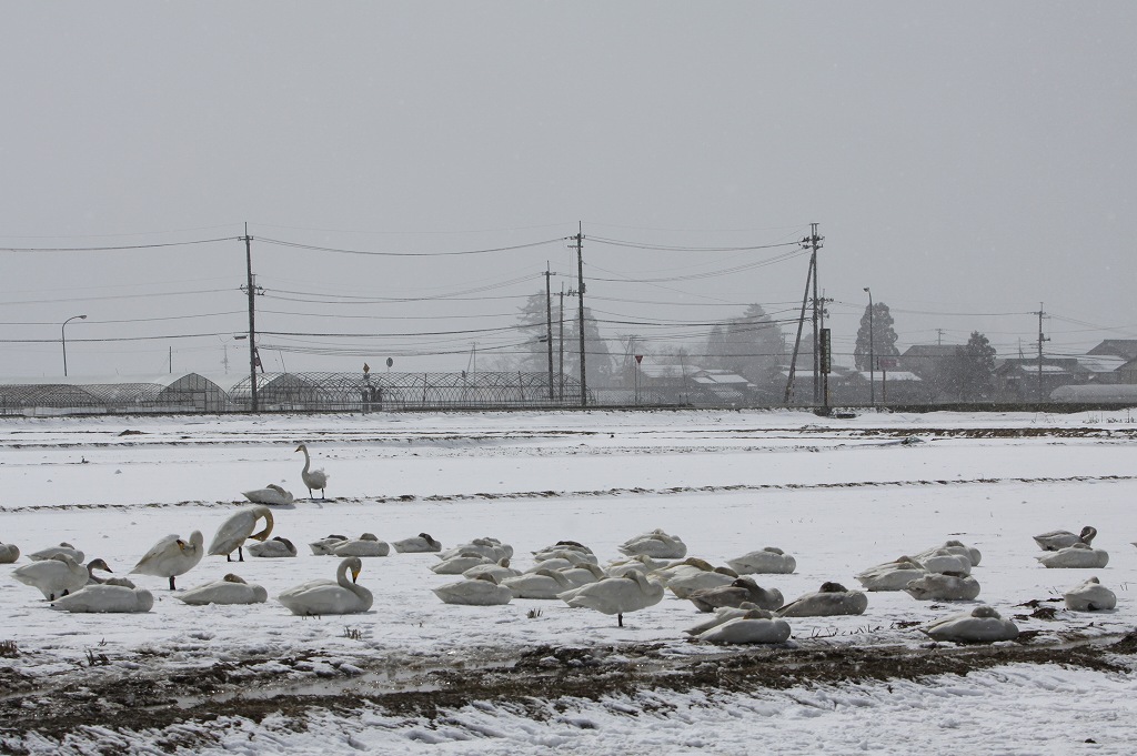 ゆっくり休んでね