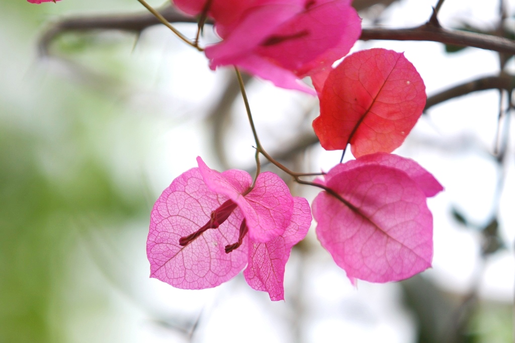 すべて自由に心にやさしく