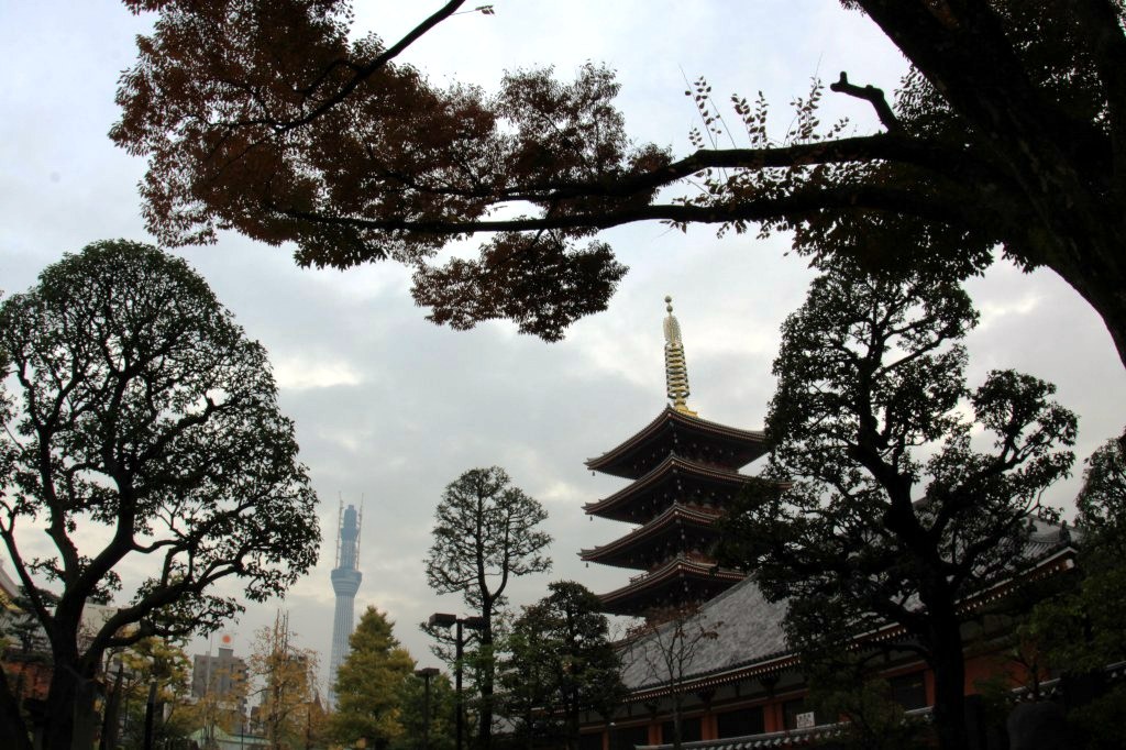 浅草寺スカイツリーの見える風景
