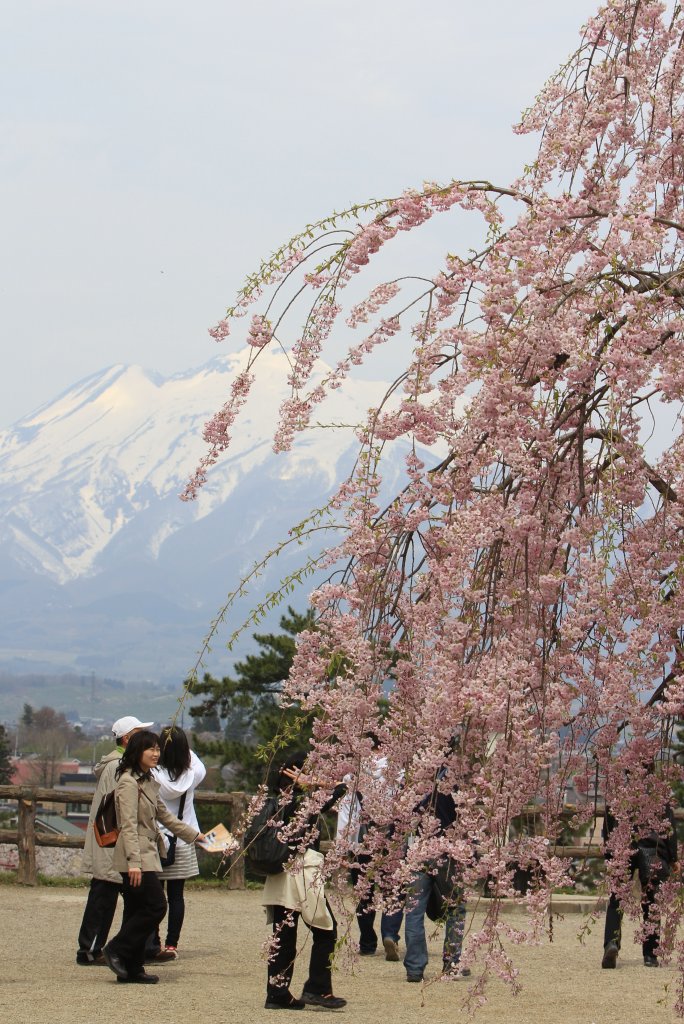 弘前城からの岩木山