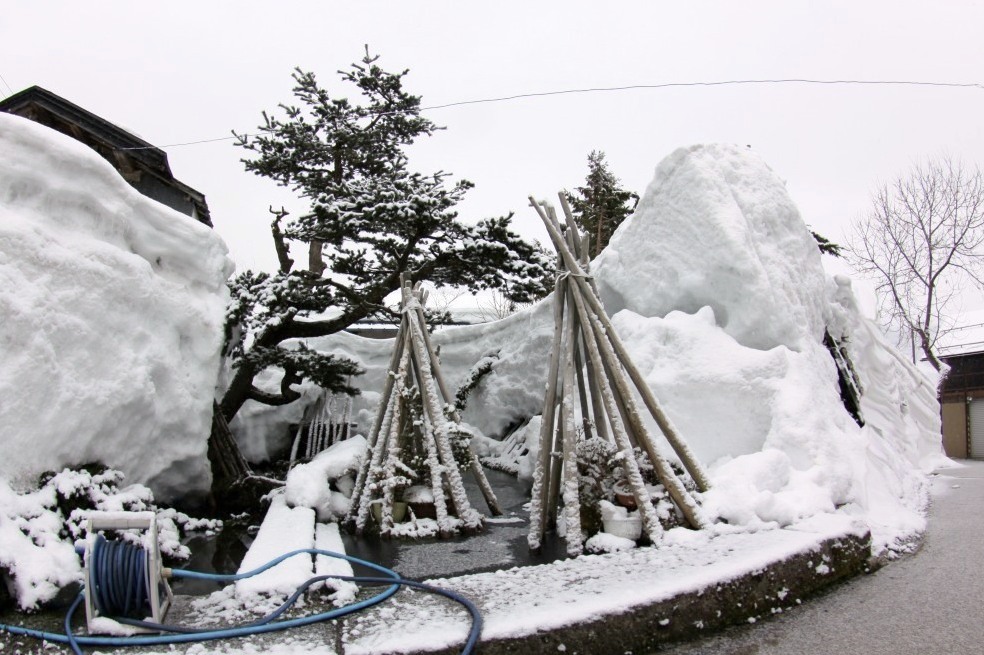 我が家の池のまわりもまだこんな大雪の状態なのだ