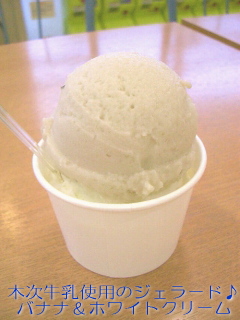 20060502-JUSCOでジェラード♪