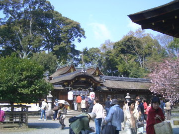 4/8　平野神社