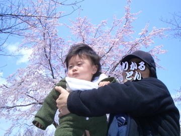 平野神社でお花見♪