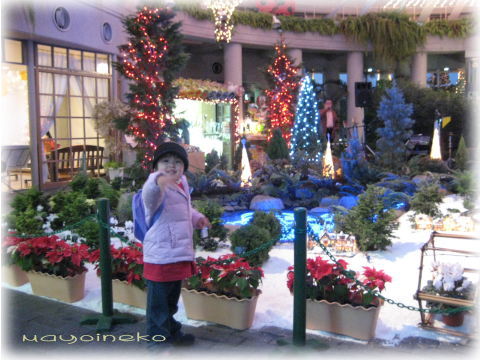 20080105-2.jpg