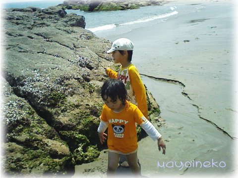 20070503-4.jpg