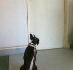 200608011605000.jpg