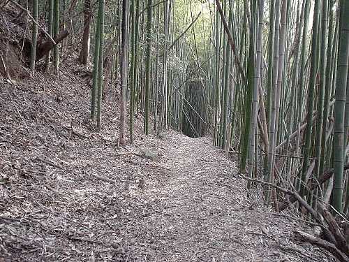 根来寺・へんろ道