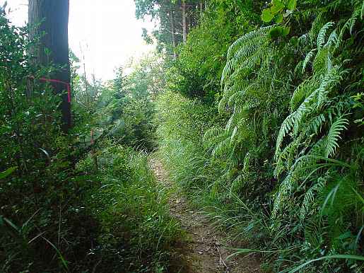 下り・へんろ道