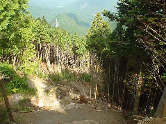 横峰・くだり１