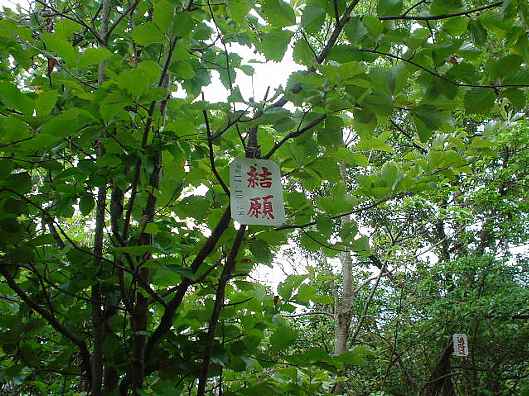 へんろみち・結願