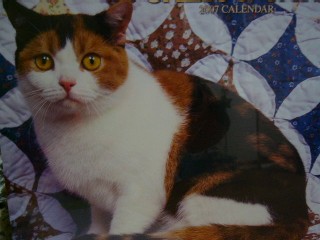 calico