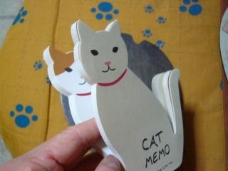 0205 Cat Memo2