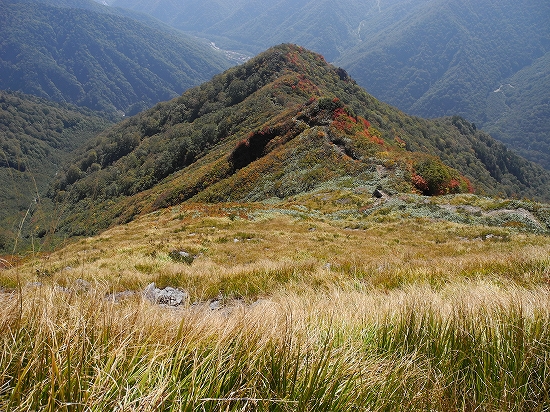 白毛門登山道をふり返る