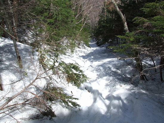 雪の斜面を駆け降りる