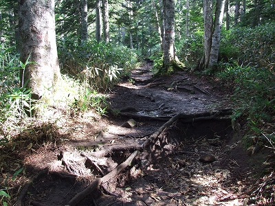 燧ヶ岳へ