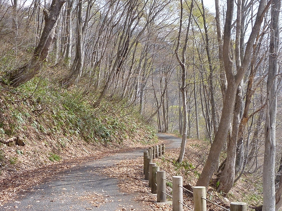 一ノ倉沢への道01