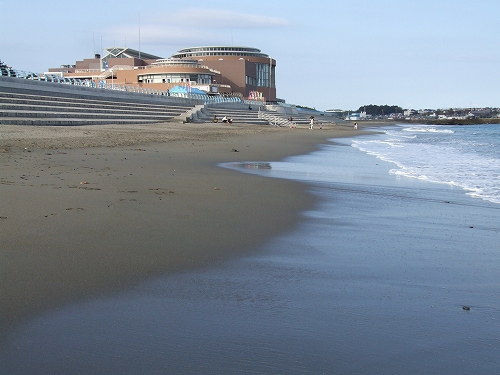 アクアワールド大洗04