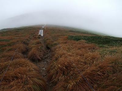 平標山から仙ノ倉山へ