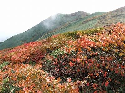 仙ノ倉山と紅葉