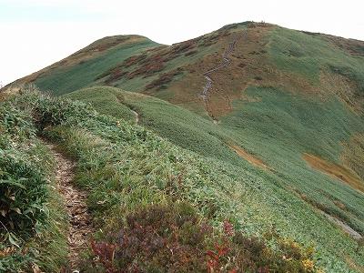 仙ノ倉山山頂を望む