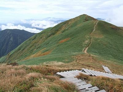 仙ノ倉山への道